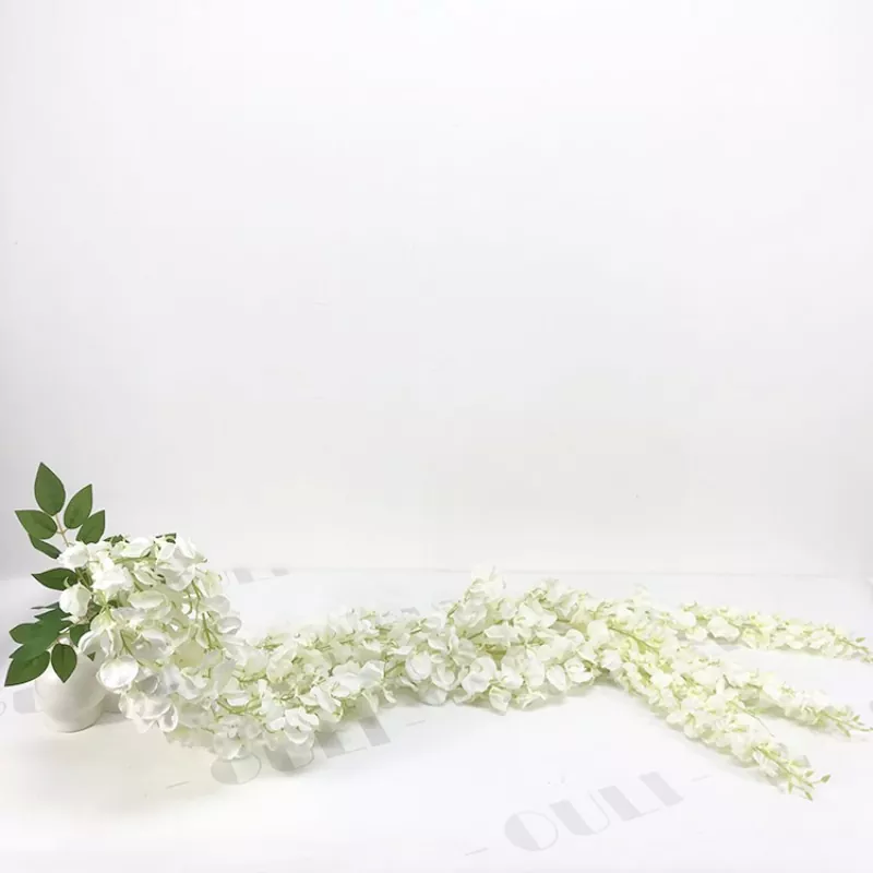 Бела лажна Вистериа Цвеће